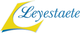 leyestaete-logo_white 1